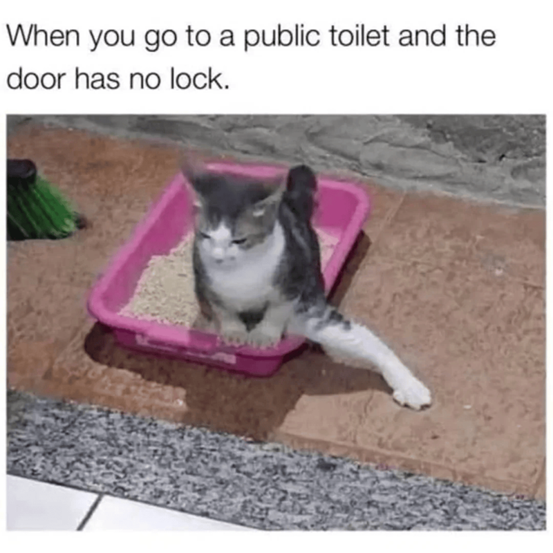 When you go to a public toilet and the door has no lock.