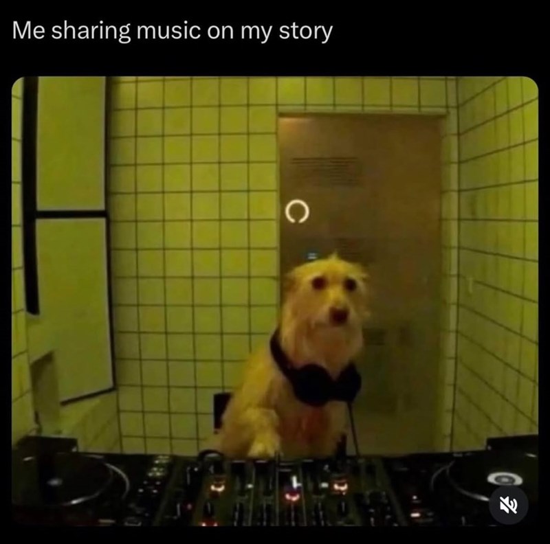 Me sharing music on my story C