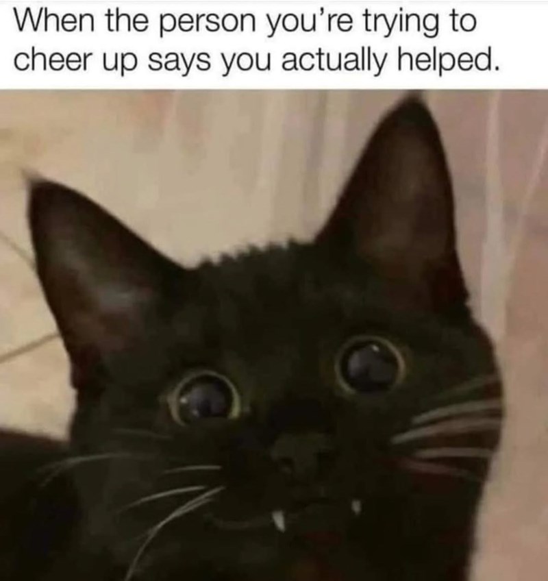 When the person you're trying to cheer up says you actually helped.
