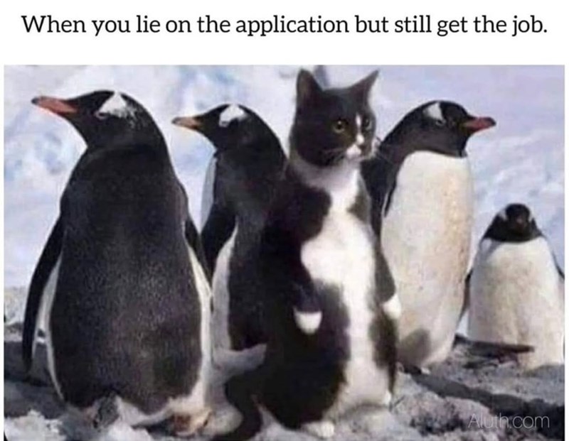 When you lie on the application but still get the job. Aluth.com