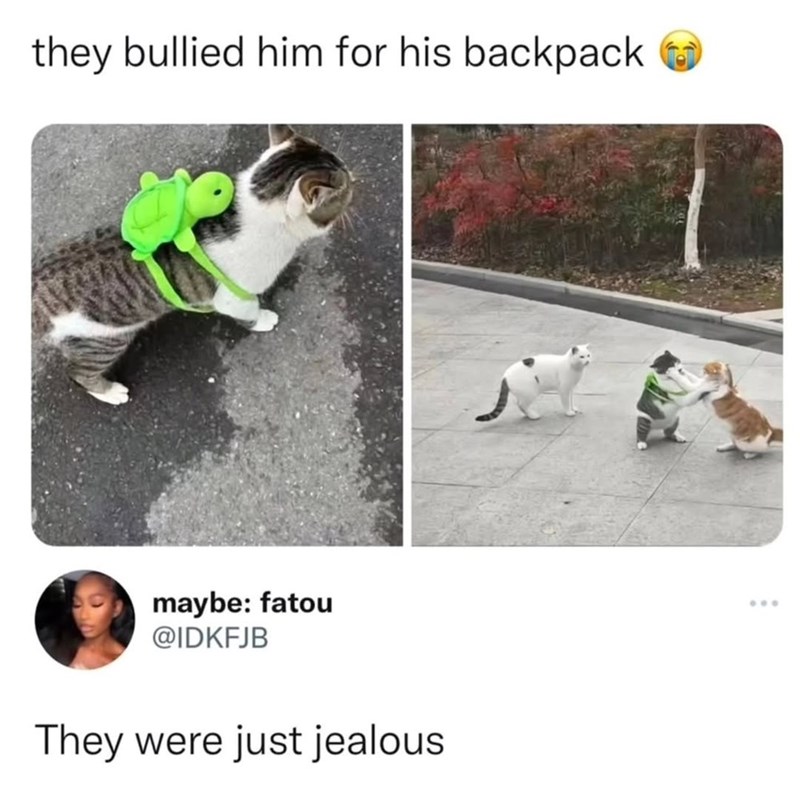 they bullied him for his backpack maybe: fatou @IDKFJB They were just jealous ذر ***