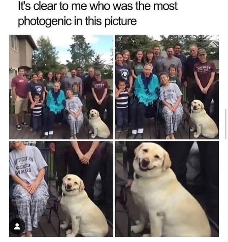 It's clear to me who was the most photogenic in this picture TE NOUNTAIN WOLVES