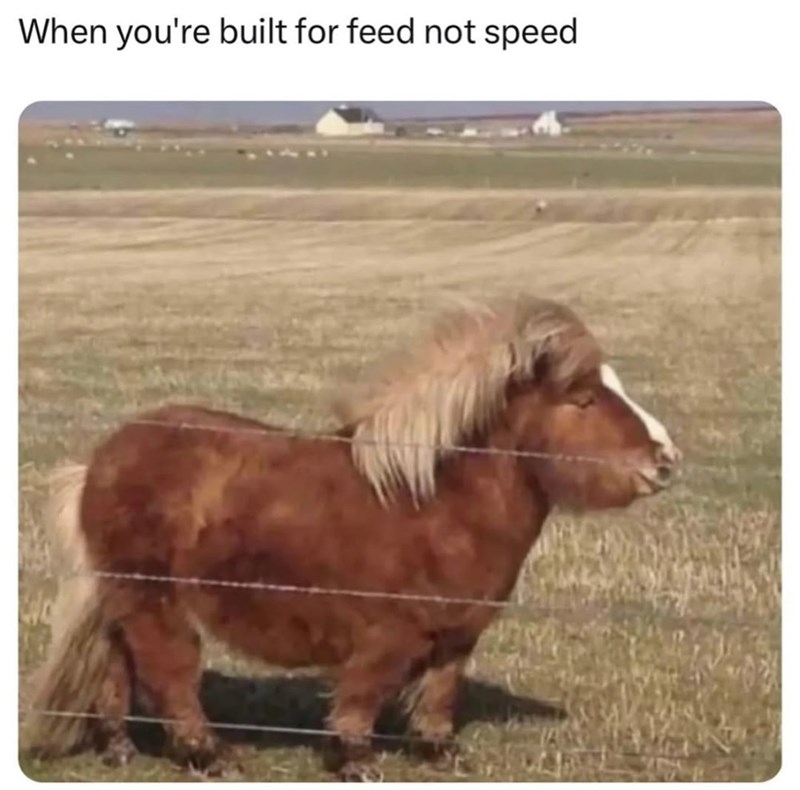 When you're built for feed not speed