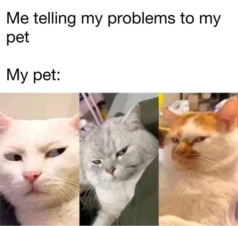 Me telling my problems to my pet My pet: