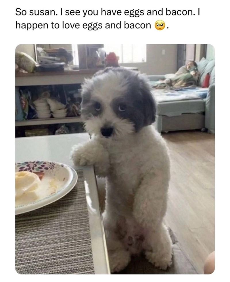 So susan. I see you have eggs and bacon. I happen to love eggs and bacon →