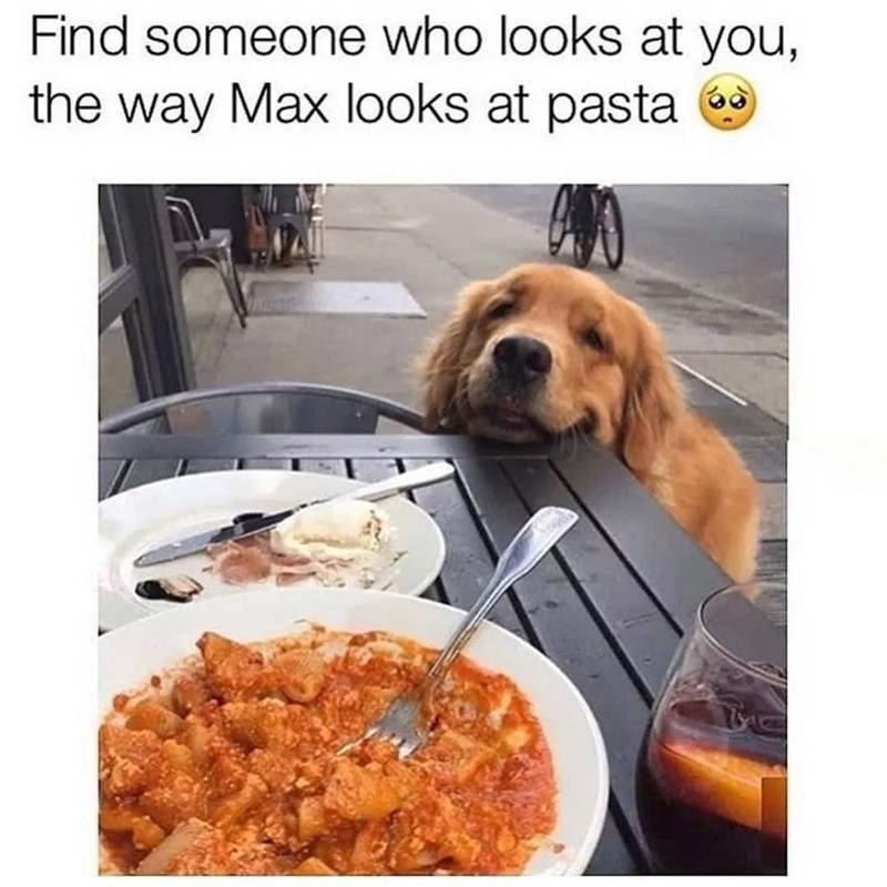 Find someone who looks at you, the way Max looks at pasta