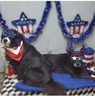 Cheezburger Image 10609315328