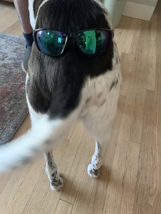 Cheezburger Image 10609315584