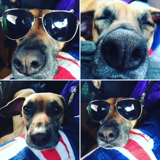 Cheezburger Image 10609315840