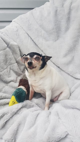 Cheezburger Image 10609316608