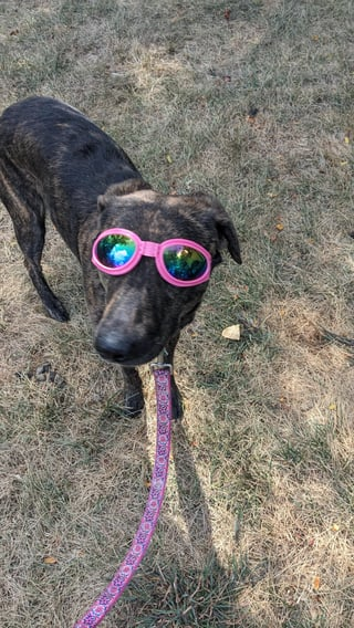 Cheezburger Image 10609316864