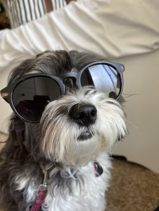 Cheezburger Image 10609317376