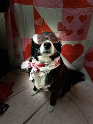 Cheezburger Image 10609317888