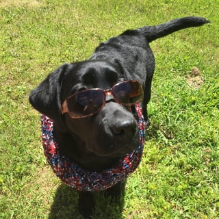 Cheezburger Image 10609318656