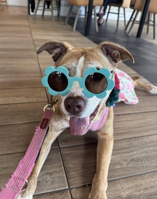 Cheezburger Image 10609318912