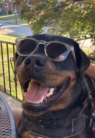 Cheezburger Image 10609320704