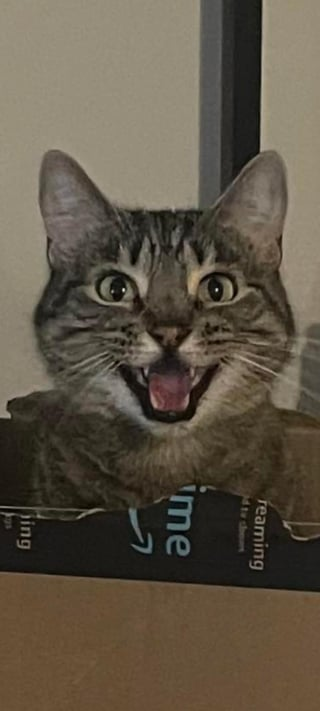 reaming d tv show ime ing