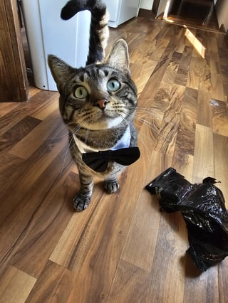 Cheezburger Image 10609326848