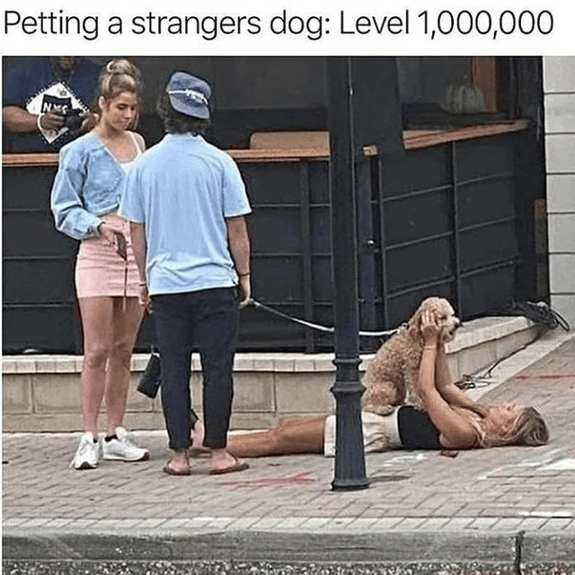 Petting a strangers dog: Level 1,000,000
