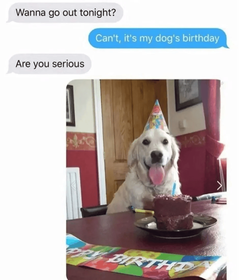 Wanna go out tonight? Can't, it's my dog's birthday Are you serious PPY BIRT BIRTHD