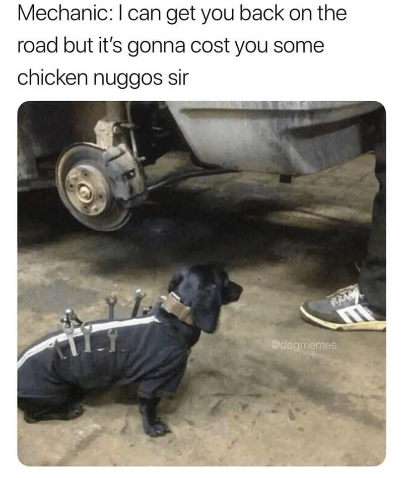 Mechanic: I can get you back on the road but it's gonna cost you some chicken nuggos sir @dogmemes