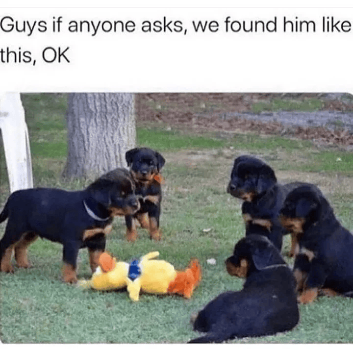 Guys if anyone asks, we found him like this, OK