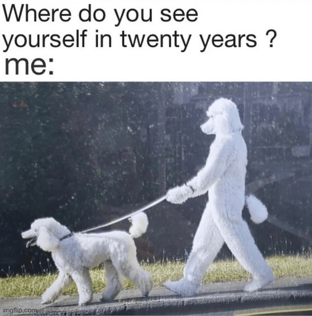 Where do you see yourself in twenty years? me: imgflip.com