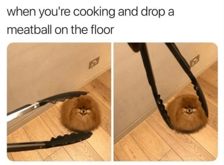 when you're cooking and drop a meatball on the floor