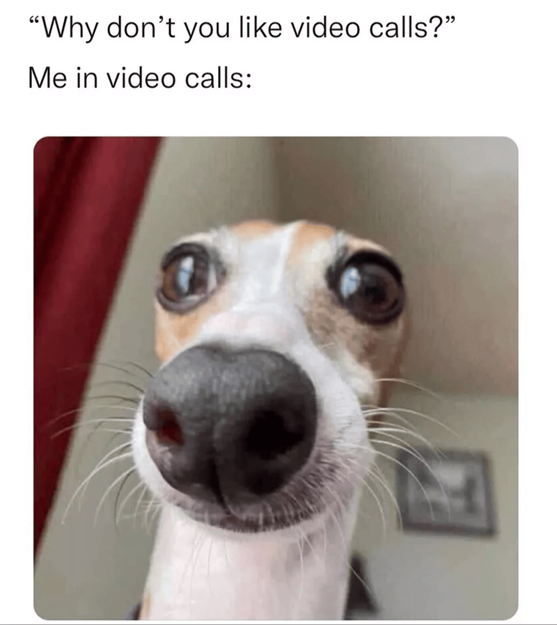 "Why don't you like video calls?" Me in video calls: