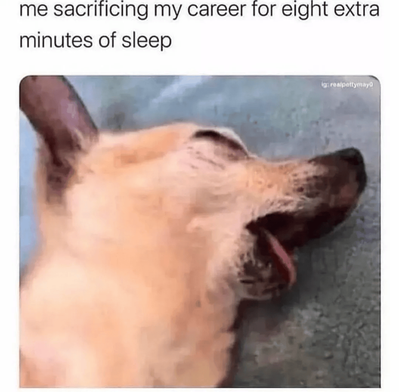 me sacrificing my career for eight extra minutes of sleep ig: realpettymay
