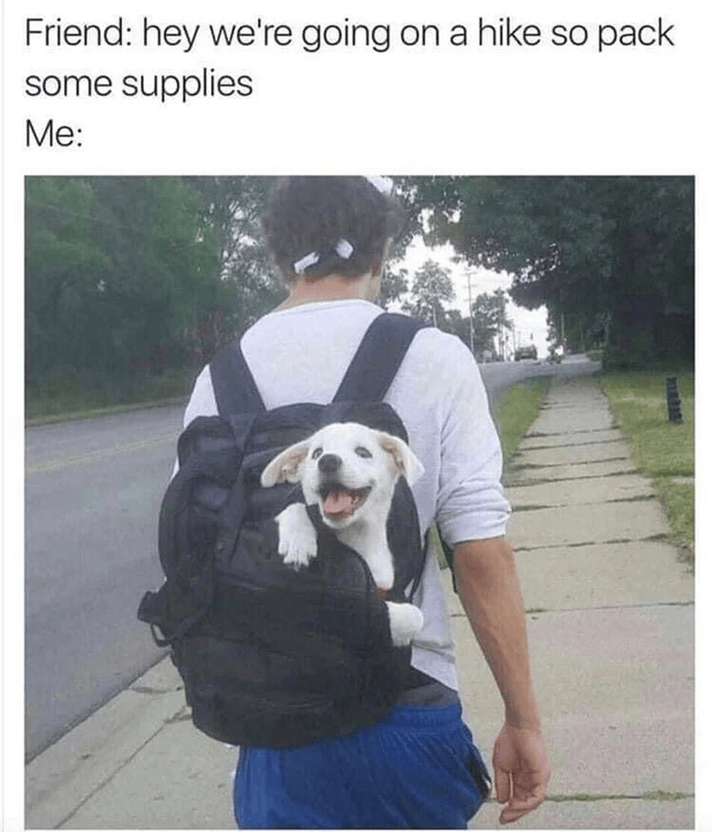 Friend: hey we're going on a hike so pack some supplies Me: