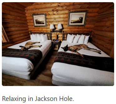 Relaxing in Jackson Hole.