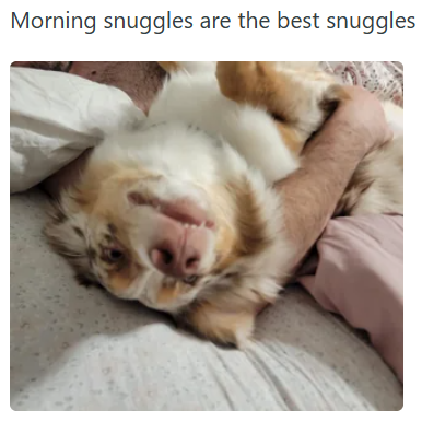 Morning snuggles are the best snuggles