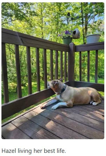 Hazel living her best life.