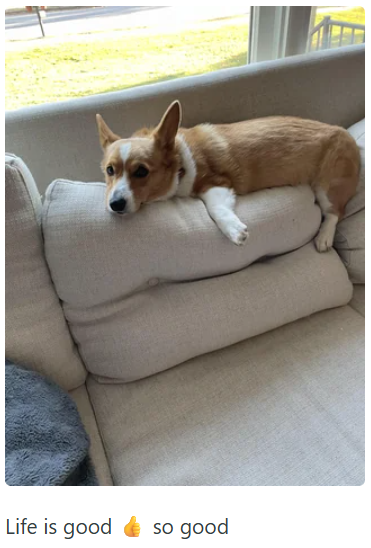 Life is good so good