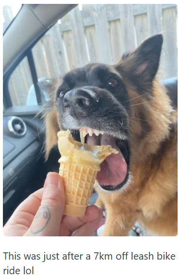 This was just after a 7km off leash bike ride lol