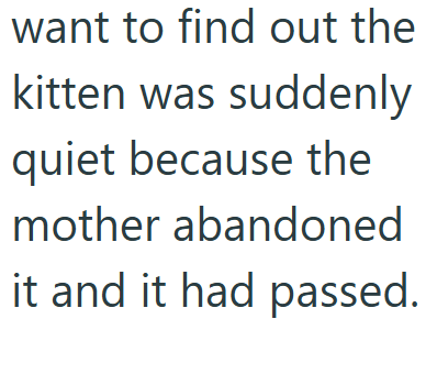 want to find out the kitten was suddenly quiet because the mother abandoned it and it had passed.