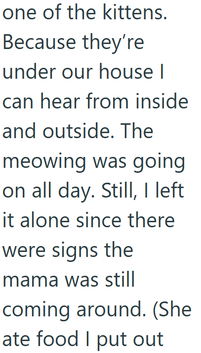 one of the kittens. Because they're under our house I can hear from inside and outside. The meowing was going on all day. Still, I left it alone since there were signs the mama was still coming around. (She ate food I put out