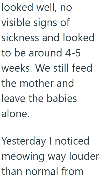 looked well, no visible signs of sickness and looked to be around 4-5 weeks. We still feed the mother and leave the babies alone. Yesterday I noticed meowing way louder than normal from