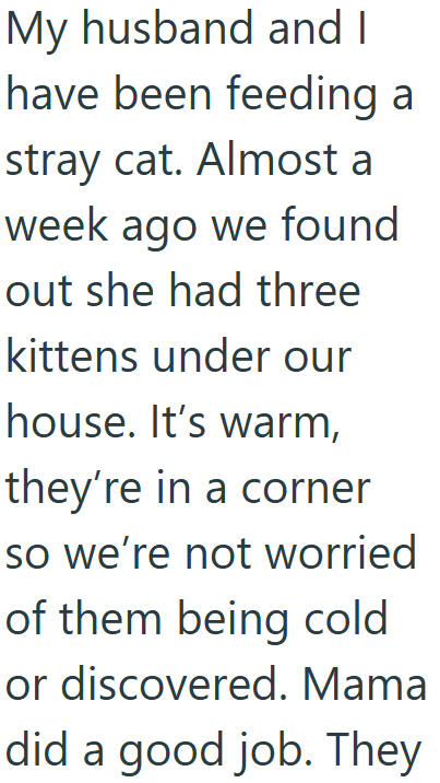 My husband and I have been feeding a stray cat. Almost a week ago we found out she had three kittens under our house. It's warm, they're in a corner so we're not worried of them being cold or discovered. Mama did a good job. They