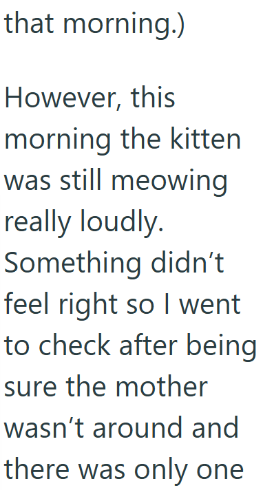 that morning.) However, this morning the kitten was still meowing really loudly. Something didn't feel right so I went to check after being sure the mother wasn't around and there was only one