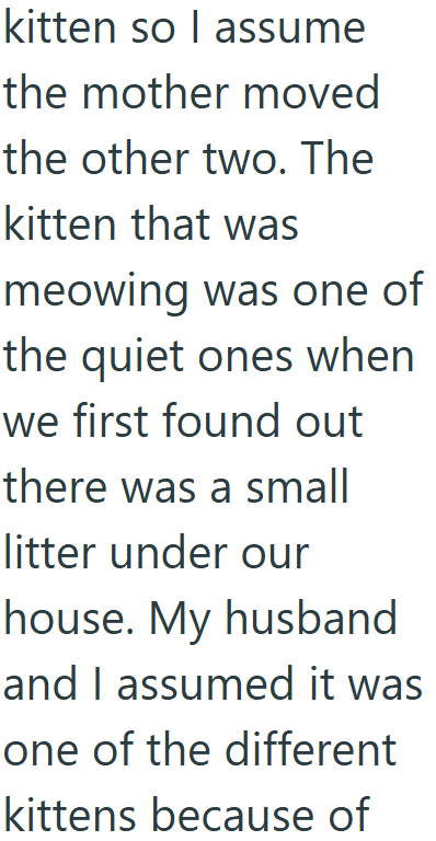 kitten so I assume the mother moved the other two. The kitten that was meowing was one of the quiet ones when we first found out there was a small litter under our house. My husband and I assumed it was one of the different kittens because of
