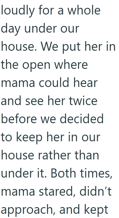 loudly for a whole day under our house. We put her in the open where mama could hear and see her twice before we decided to keep her in our house rather than under it. Both times, mama stared, didn't approach, and kept