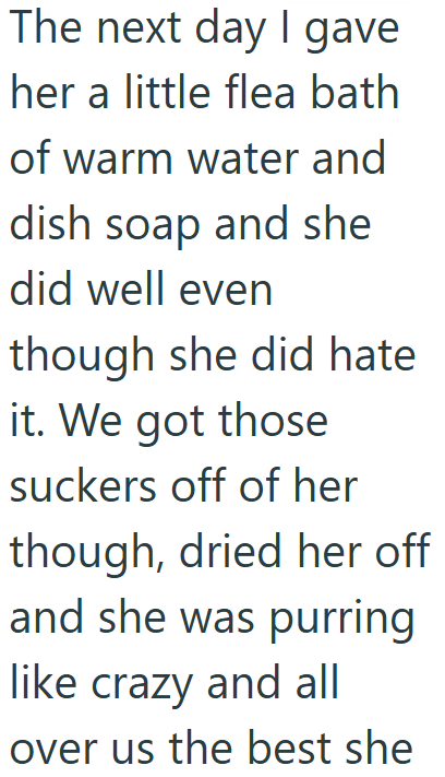 The next day I gave her a little flea bath of warm water and dish soap and she did well even though she did hate it. We got those suckers off of her though, dried her off and she was purring like crazy and all over us the best she