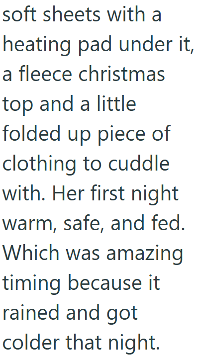 soft sheets with a heating pad under it, a fleece christmas top and a little folded up piece of clothing to cuddle with. Her first night warm, safe, and fed. Which was amazing timing because it rained and got colder that night.