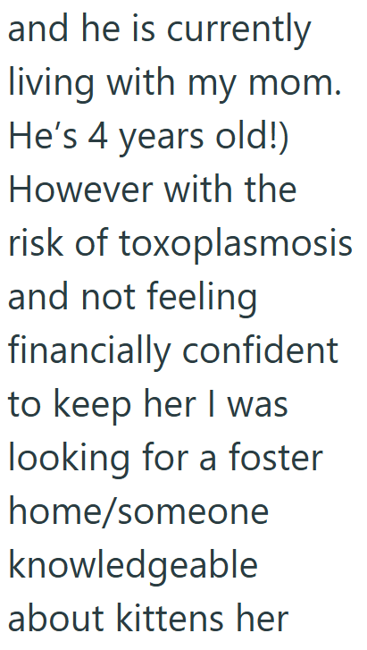 and he is currently living with my mom. He's 4 years old!) However with the risk of toxoplasmosis and not feeling financially confident to keep her I was looking for a foster home/someone knowledgeable about kittens her