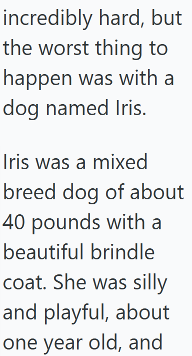 Cheezburger Image 10609366272