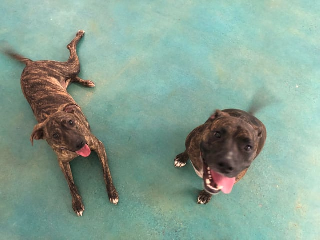 Cheezburger Image 10609370368