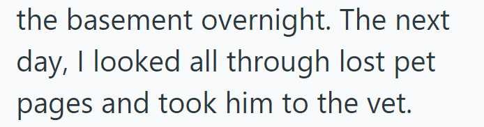 the basement overnight. The next day, I looked all through lost pet pages and took him to the vet.