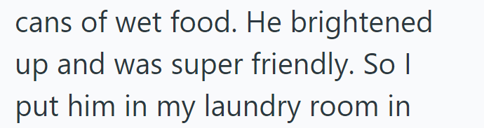cans of wet food. He brightened up and was super friendly. So I put him in my laundry room in